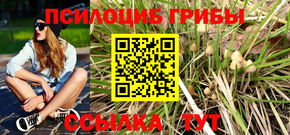 Галлюциногенные грибы MAGIC MUSHROOMS  Вход с VPN  Стрежевой  Псилоцибиновые грибы ЛСД 